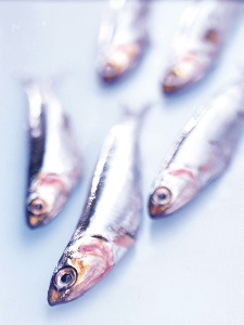 Fish oils can help prevent the onset of eczema